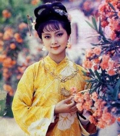 红楼梦中12金钗有没有袭人,红楼梦中12金钗指的是