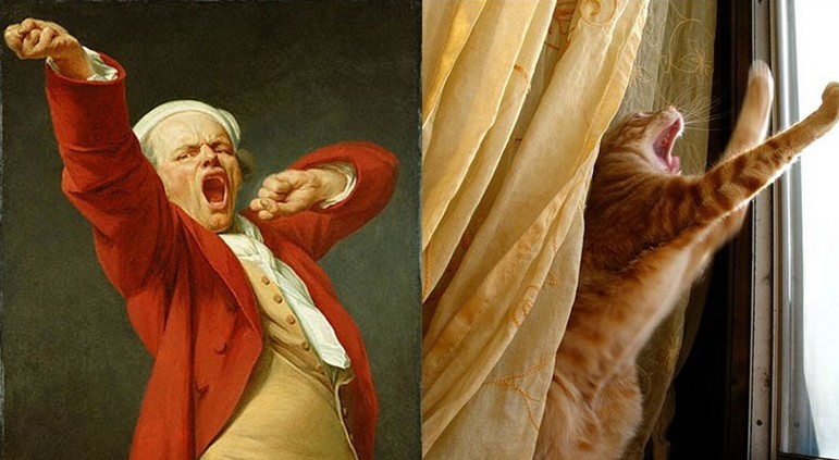 辟谣!平胸的妹子们听我说:别看你胸小,你智商可能还低!哈哈哈