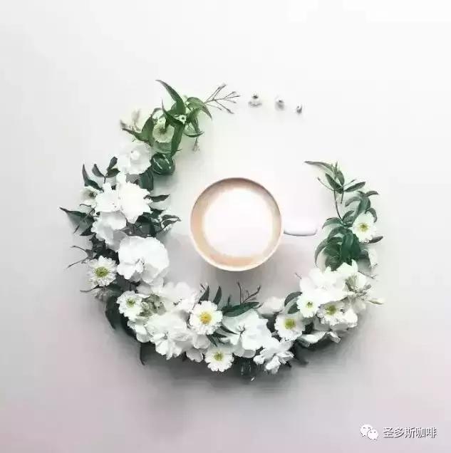 治愈系鲜花,最强治愈系