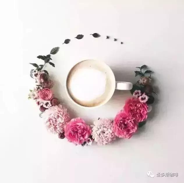 治愈系鲜花,最强治愈系