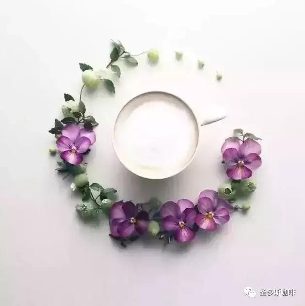 治愈系鲜花,最强治愈系