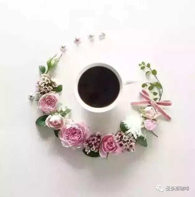 治愈系鲜花,最强治愈系