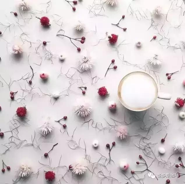 治愈系鲜花,最强治愈系