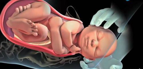 临产前半个小时，胎儿在干什么？太神奇太可爱了！