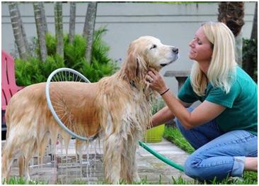 别让贫穷限制了你的想象力：2018宠物产品选品指南