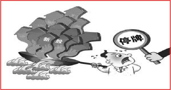 A股最幸运次新股，连续6个涨停后被特停，股民：因为怕停牌，没敢买！