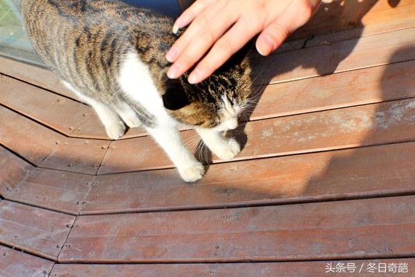 大连最美海边咖啡,大连海边最美咖啡馆