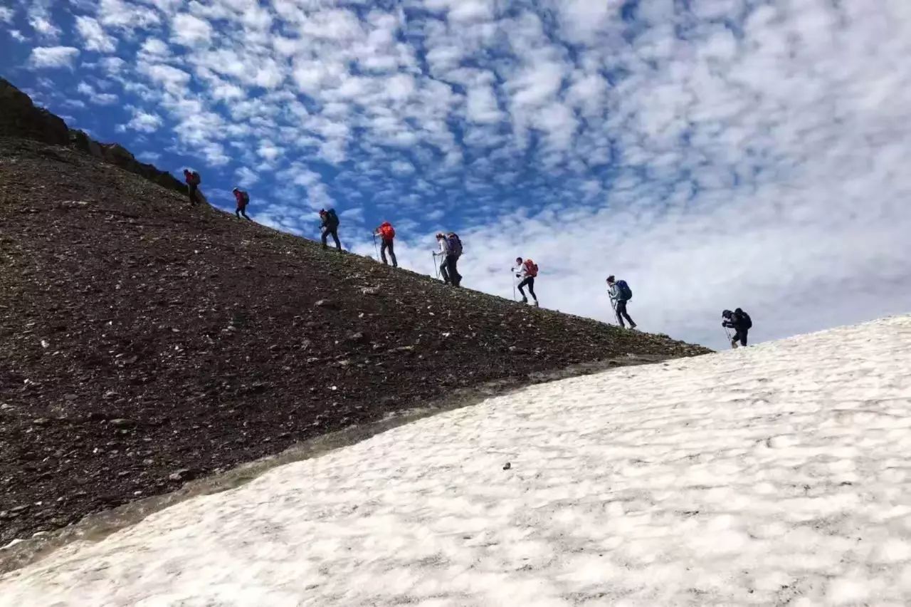 丁振东简介,南充市嘉陵区丁振东