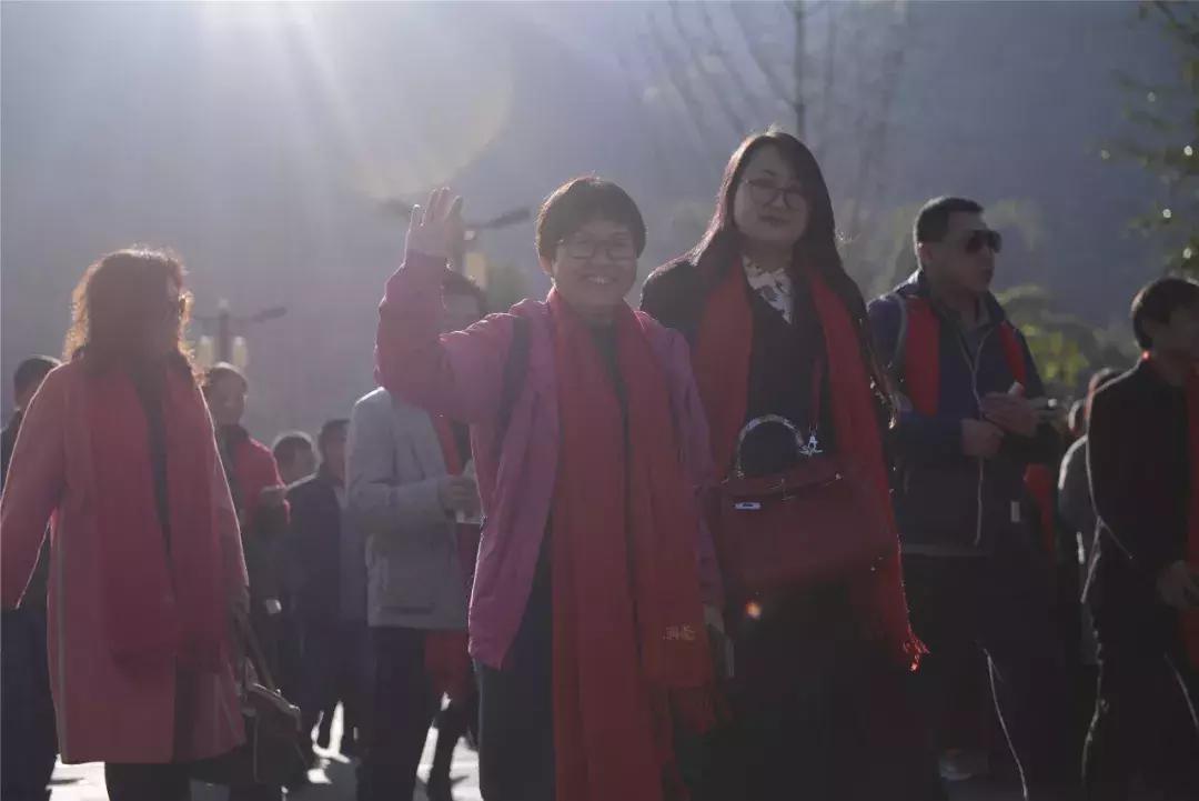 龙润茶加盟官网,龙润茶加盟视频