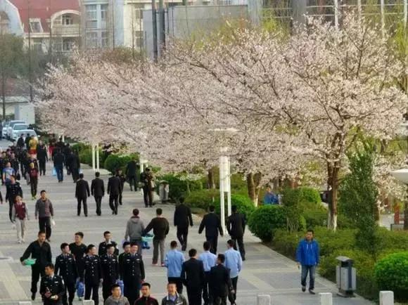 我骄傲，我是一名南森人！