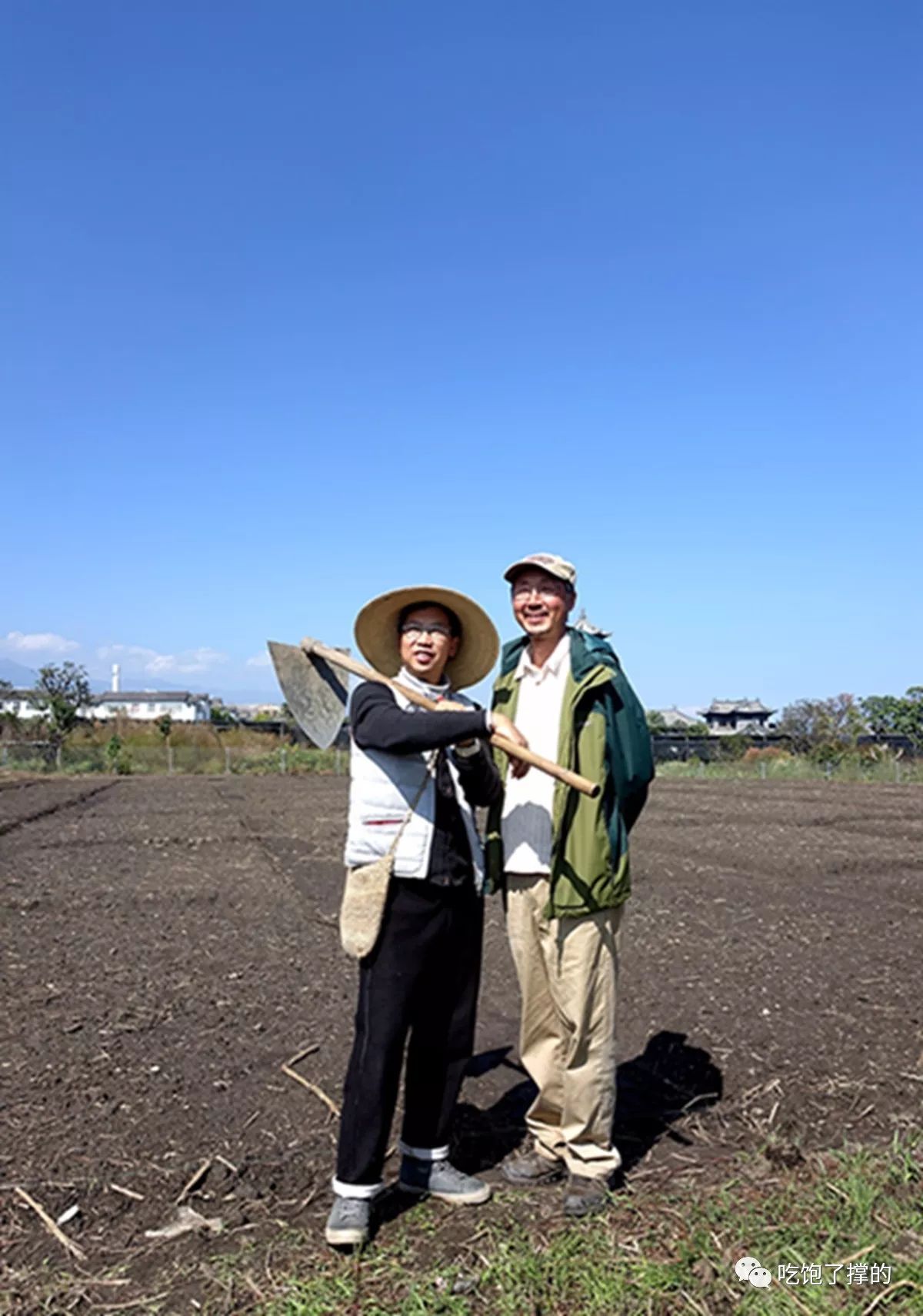 各种烤火龙果干,奶香傣家芒果干