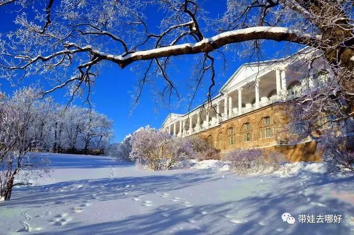 带娃冬天看雪最好的地方,冬季带孩子玩雪必备