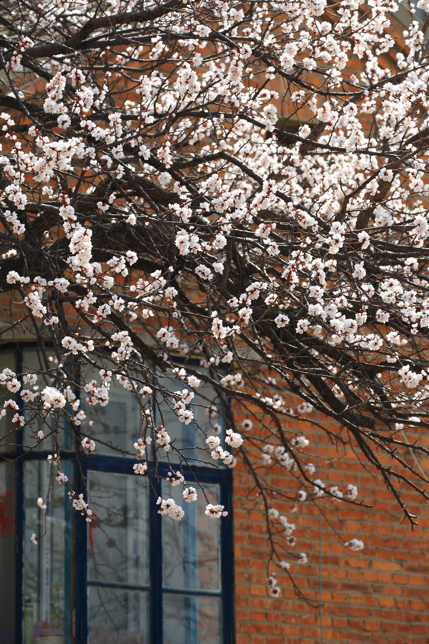 爱上旅顺这座城,爱上大连这座城市