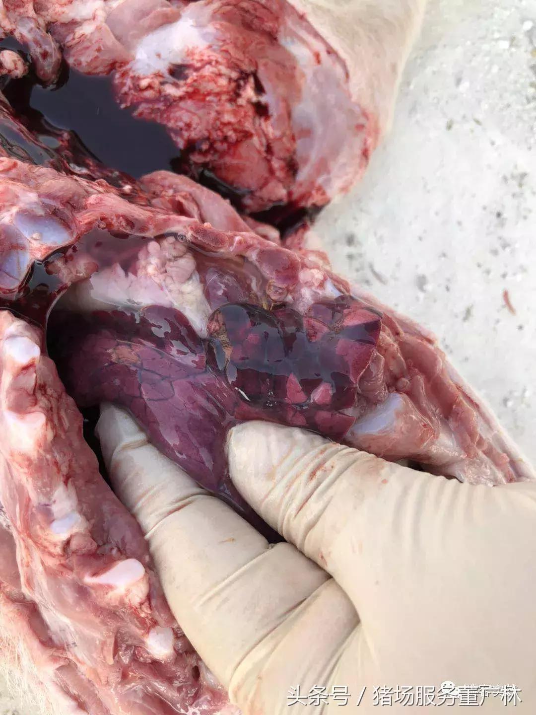 董广林最近消息,董广林最新消息