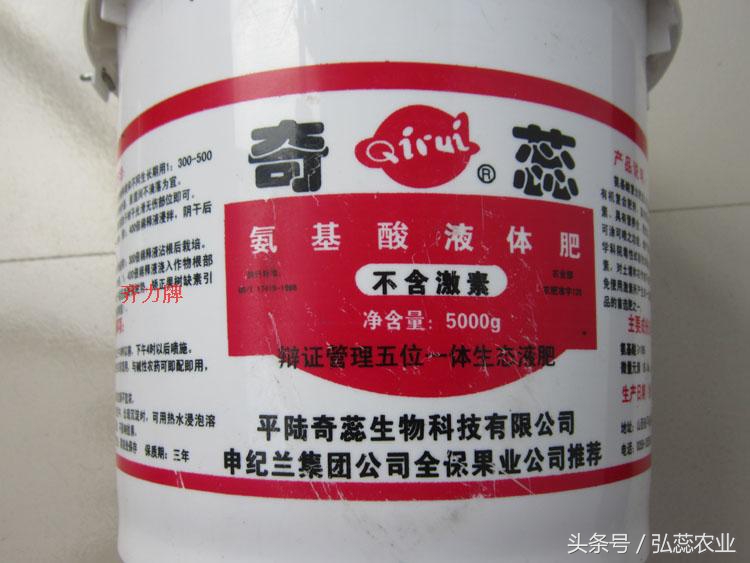 触手生春的释义,触手生春指什么生肖