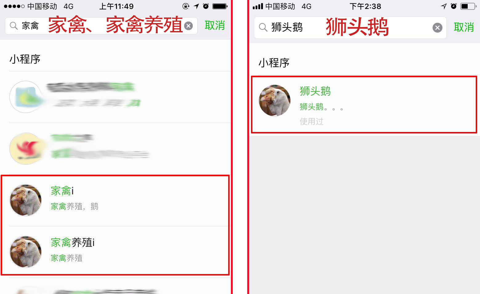 家禽小程序,家禽线上养殖app