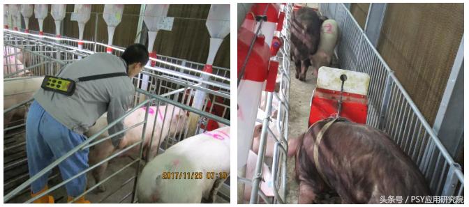 猪场测氨器,猪场化验仪器