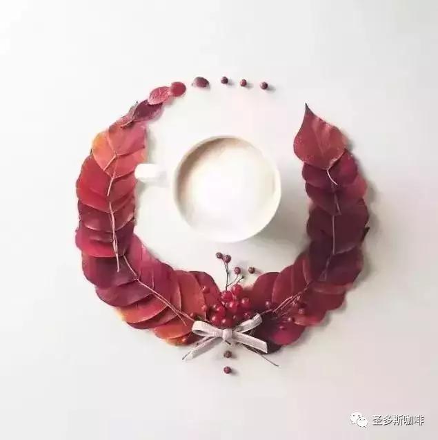 治愈系鲜花,最强治愈系