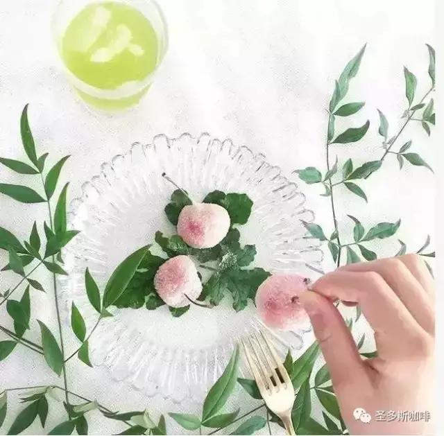 治愈系鲜花,最强治愈系