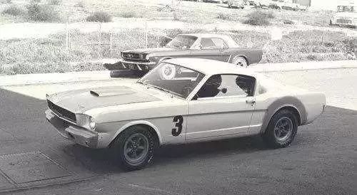 终极礼物,终极礼物宇宙之心