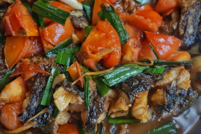 去桂林阳朔必玩的景点,去阳朔必须打卡的景点图片