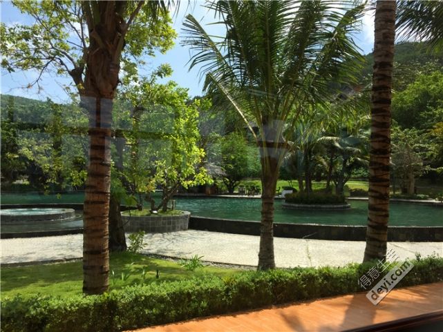 越南芽庄旅游必备单品,自驾游越南美食视频大全