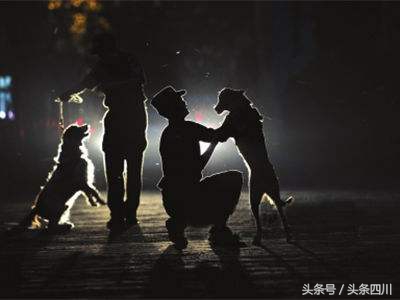 警察节征文警察故事,关于警察的故事征文