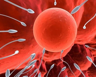 怀孕多久就能测出来呀,怀孕多久就能测出来了