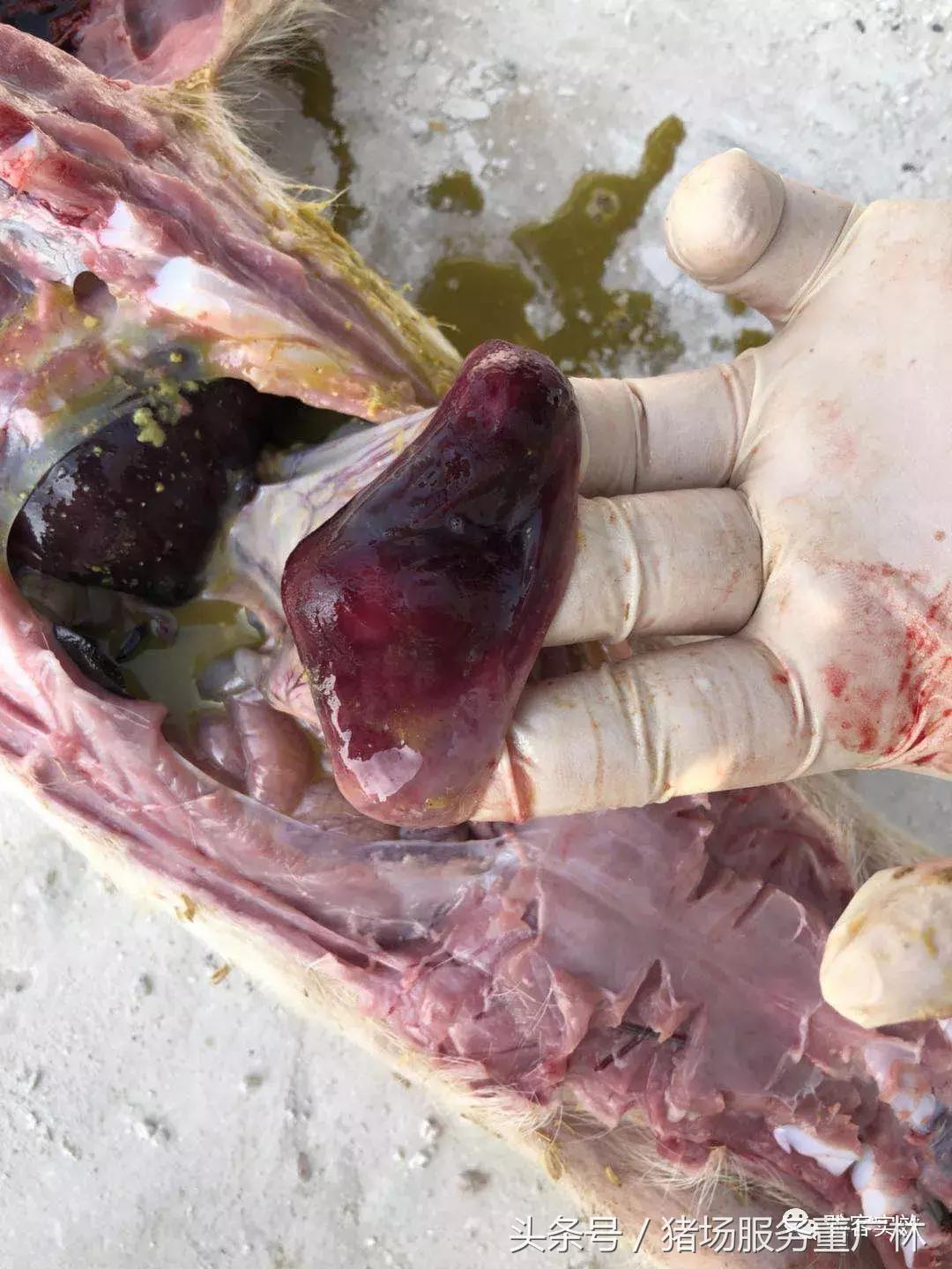 董广林最近消息,董广林最新消息