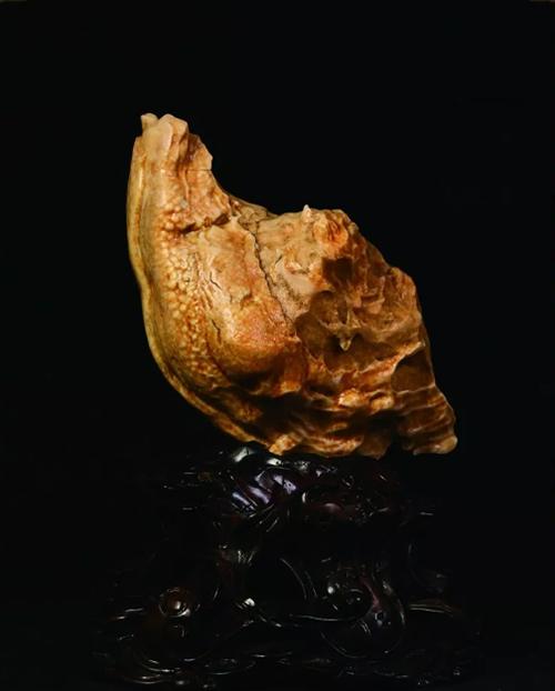 金奖含金量高的石头,国宝级特等奖石头