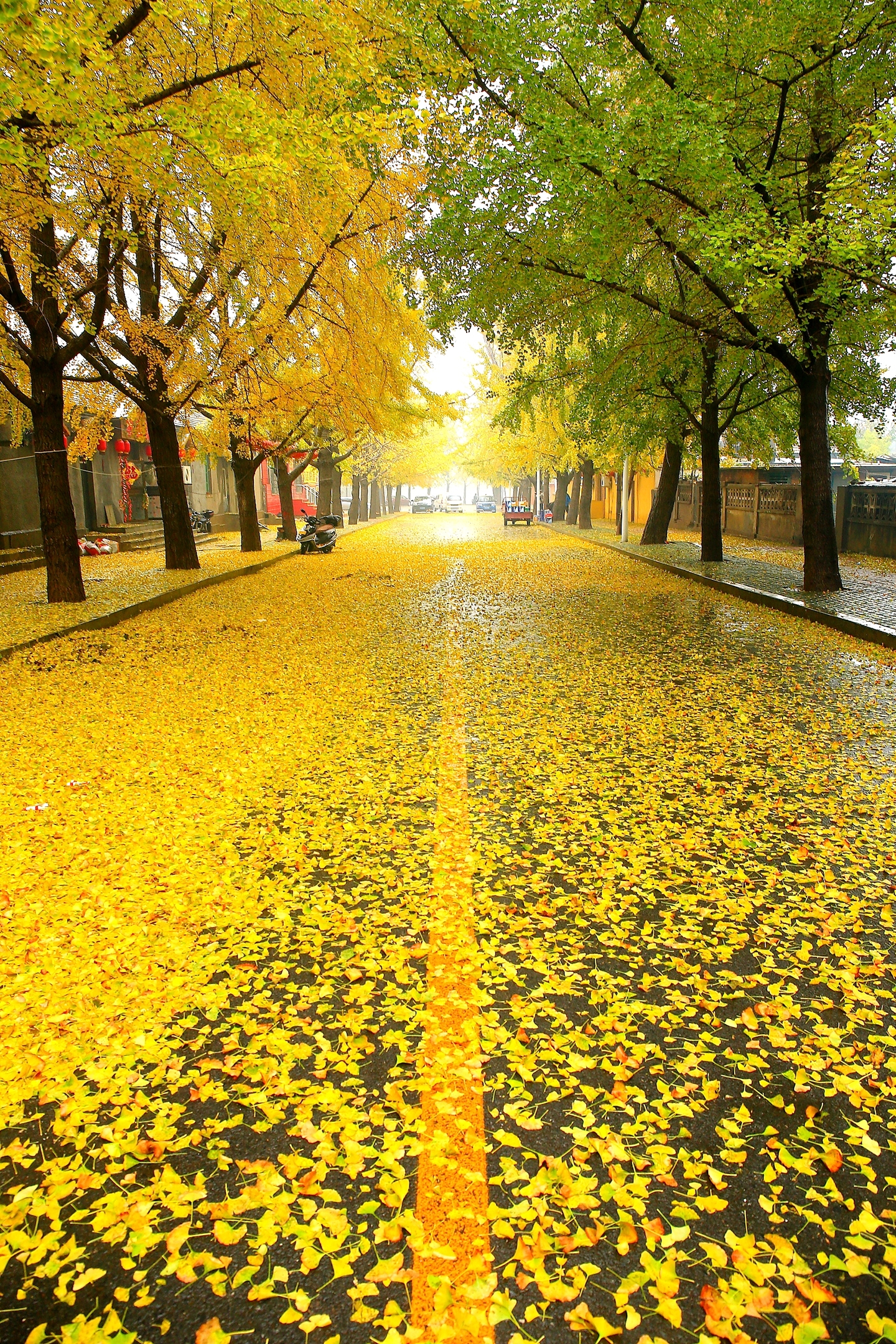 爱上旅顺这座城,爱上大连这座城市