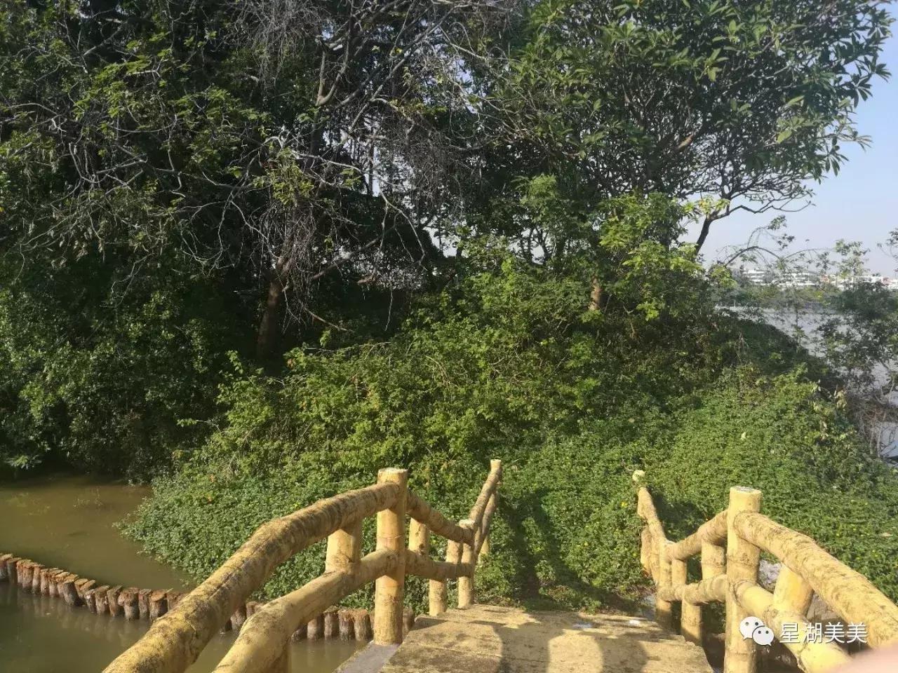 牌坊公园在哪里,牌坊公园肇庆