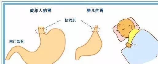 新生儿老吐奶是月嫂导致的吗,月嫂呛奶预防和抢救实操