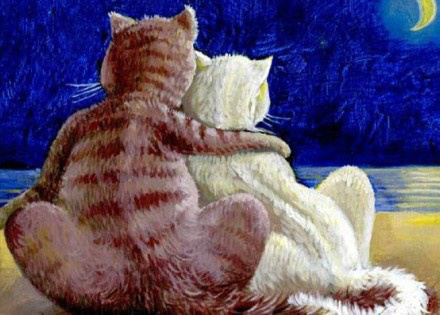 辟谣!平胸的妹子们听我说:别看你胸小,你智商可能还低!哈哈哈