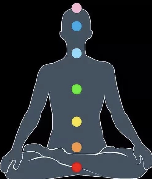 海底轮和生殖轮的连接,太阳轮和生殖轮