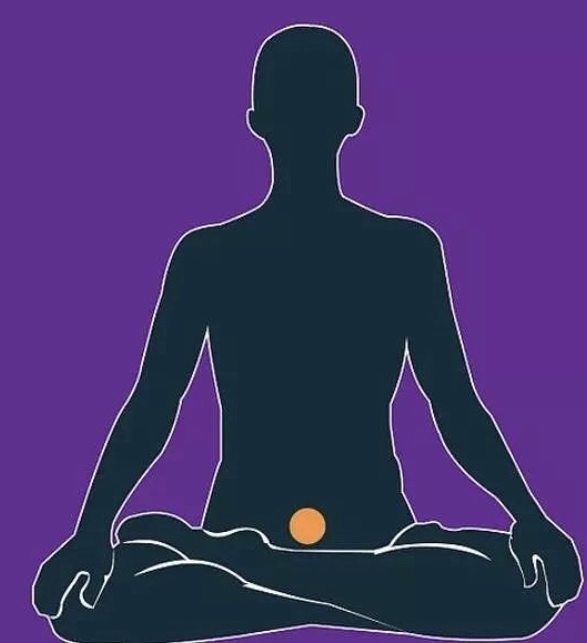 海底轮和生殖轮的连接,太阳轮和生殖轮