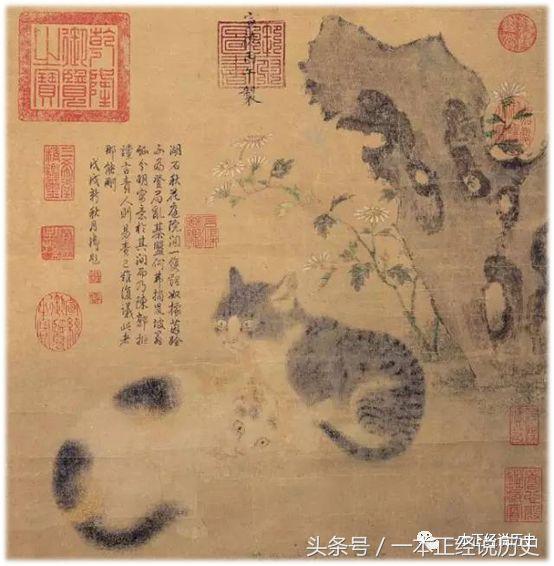妖猫传猫到底是什么,妖猫传的猫哪来的