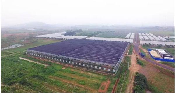 江宁溪田田园综合体,南京田园综合体