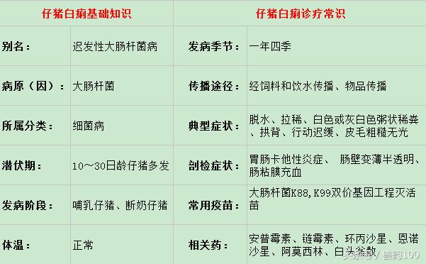 仔猪痢疾鉴别诊断治疗方法,如何鉴别仔猪黄痢和仔猪白痢
