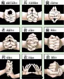 妖猫传最后得到的秘密是什么,妖猫传隐藏的深度解析