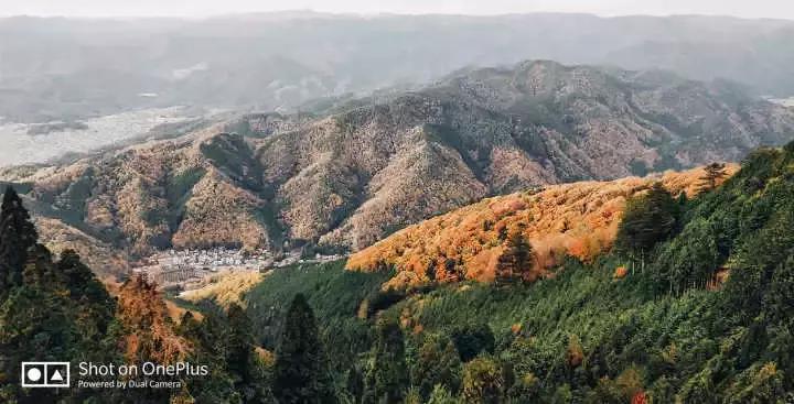干货可以做不,干货主播好不好干