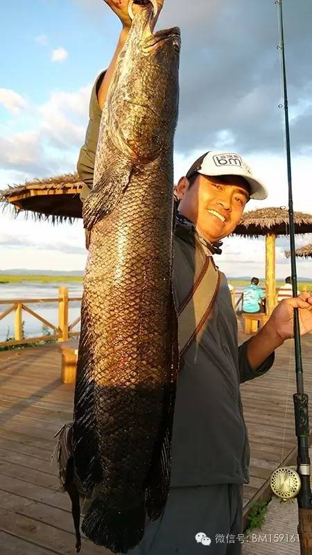 雷强教学,雷强雷蛙手法
