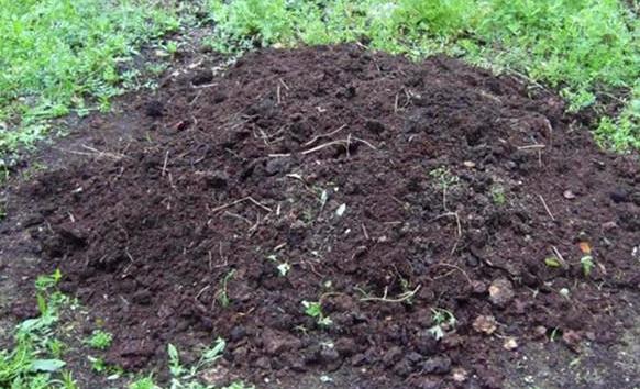 养花的营养土怎么配置最好,养好花的基础配靠谱的营养土