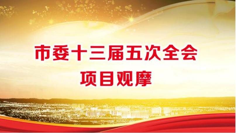 市委十三届五次全会即将召开，李小敏书记带队到重大项目现场观摩