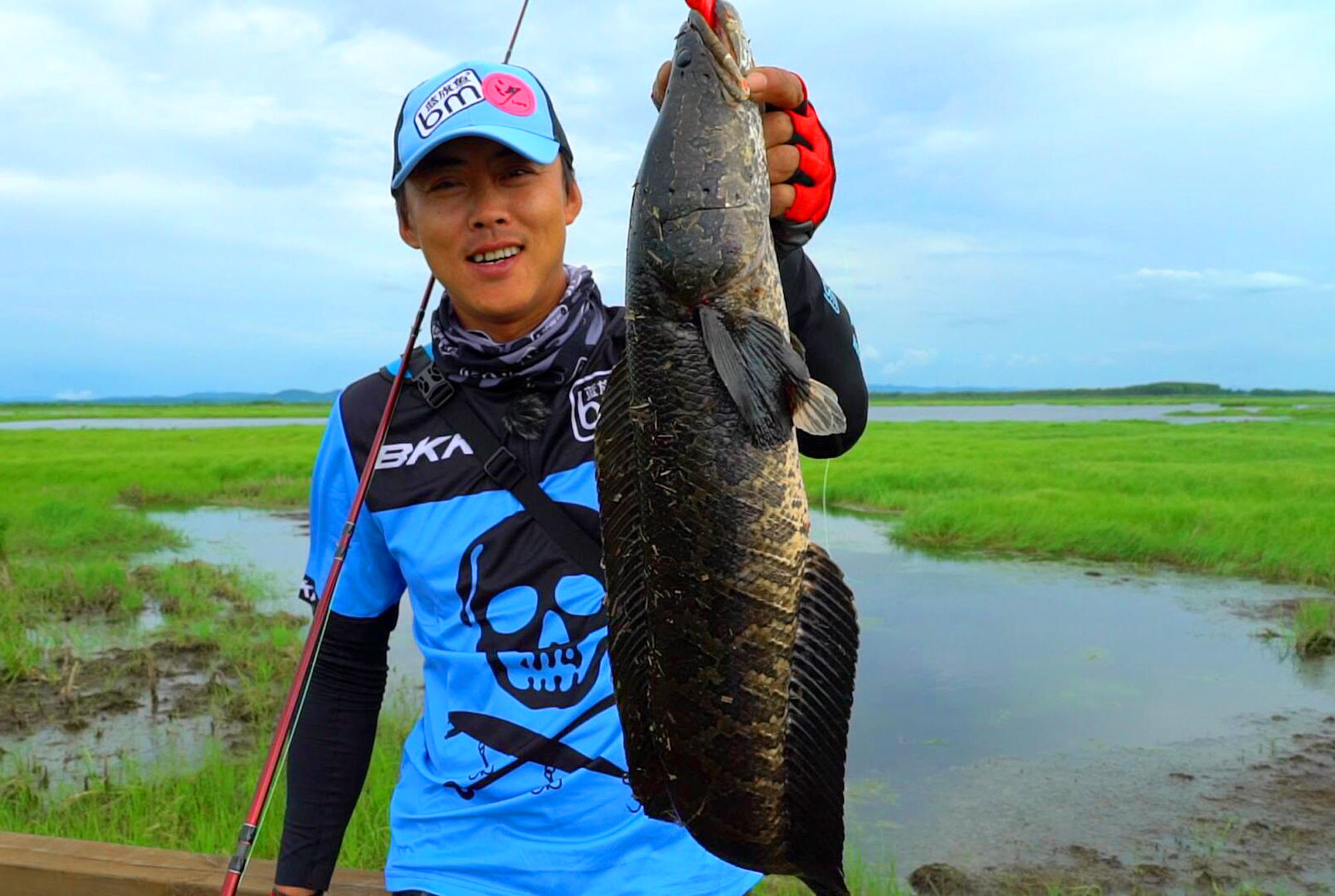 雷强详细教学,雷蛙雷强装备