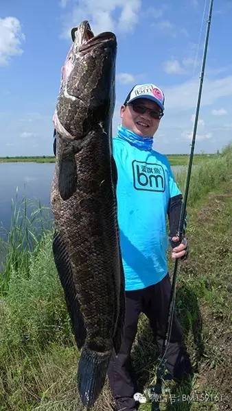 经典教学雷强装备篇之雷蛙系列,雷强雷蛙绑法