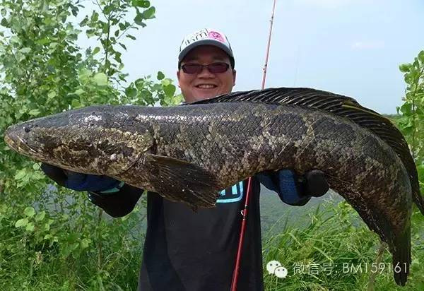 新手入门雷强装备,雷强教学
