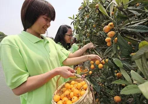一城一色の人有德行，如水至清-德清
