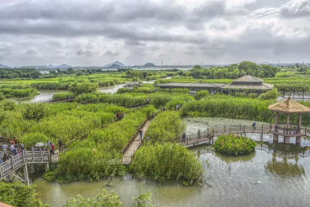 一城一色の人有德行，如水至清-德清