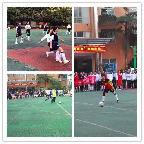 绿茵战场足球,绿茵再起狼烟视频